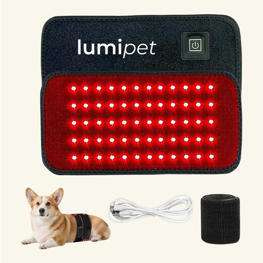 Lumi Pet™ l Glow Well