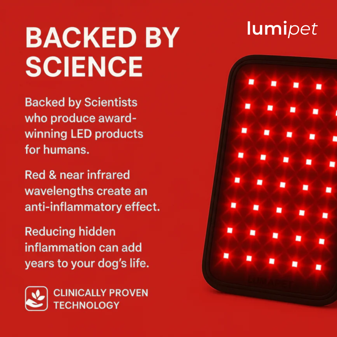 Lumi Pet™ l Glow Well