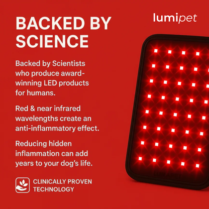 Lumi Pet™ l Glow Well