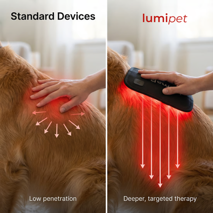 Lumi Pet™ l Glow Well