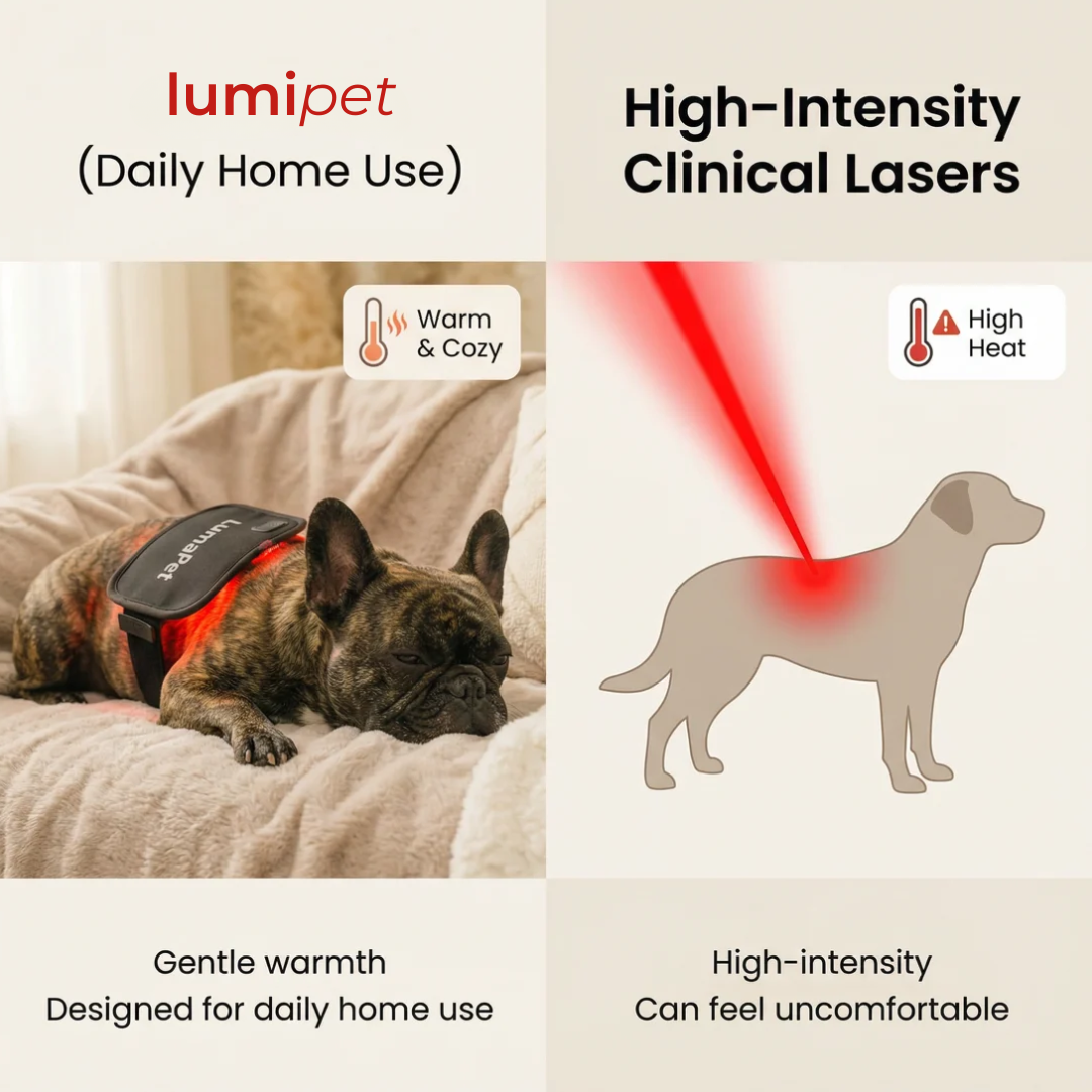 Lumi Pet™ l Glow Well